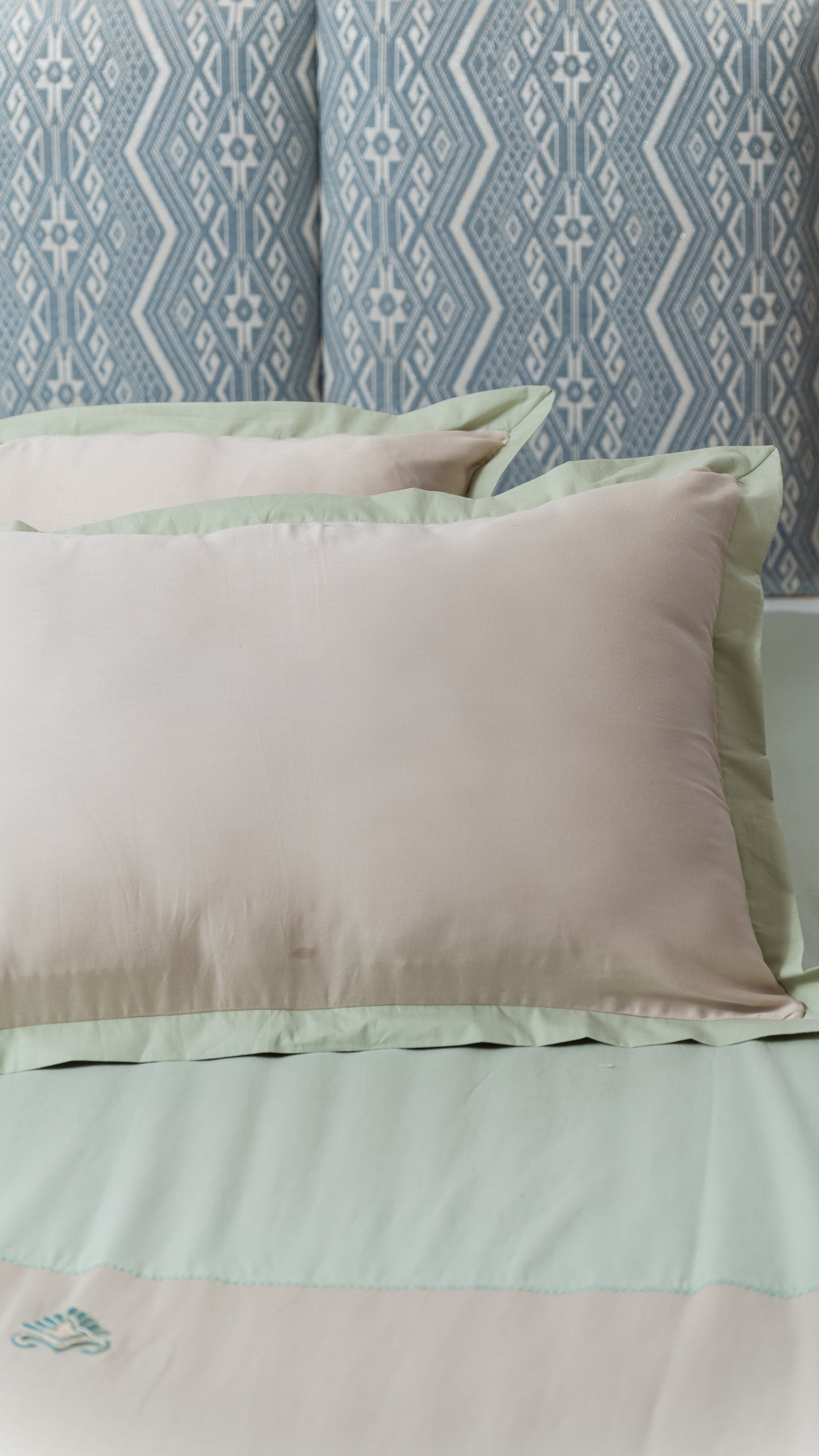 Beige and Pista Embroidered Bedsheet