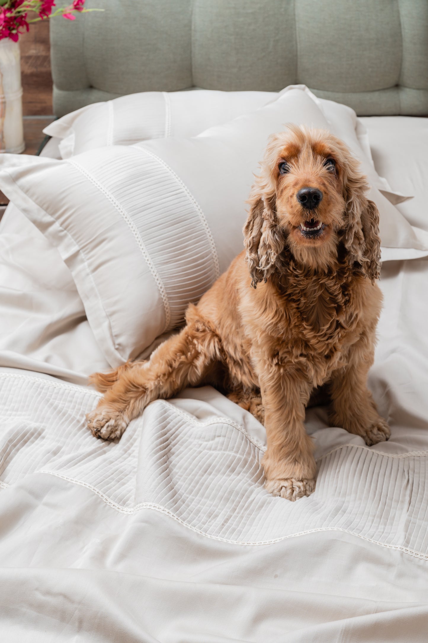 Pintex Cotton Bedsheet