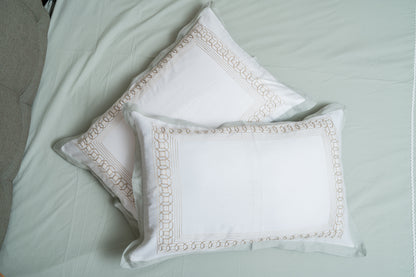 Bedsheet  plus two  pillows